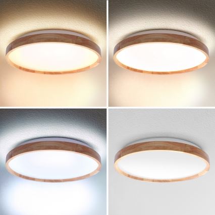 Brilagi - LED zatemnjiva stropna svetilka ALSON LED/48W/230V 3000-6500K hrast premer 39,5 cm + daljinski upravljalnik