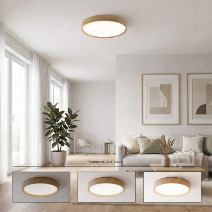 Brilagi - LED stropna svetilka MANAROLA REMOTE z možnostjo zatemnitve LED/36W/230V 3000-6500K premer 51 cm hrast + daljinski upravljalnik