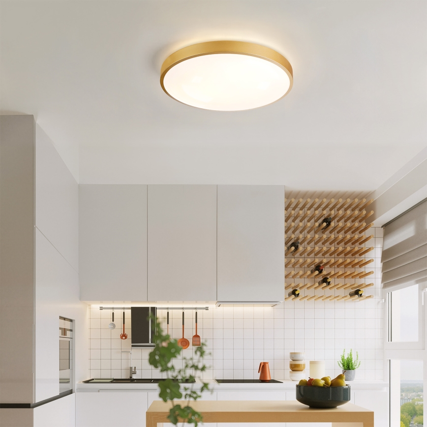 Brilagi - zatemnljivo stropno svetilo GLASS POOL DOUBLE LED/48W/230V 3000-6000K 40 cm v zlati barvi + z daljinskim upravljalnikom