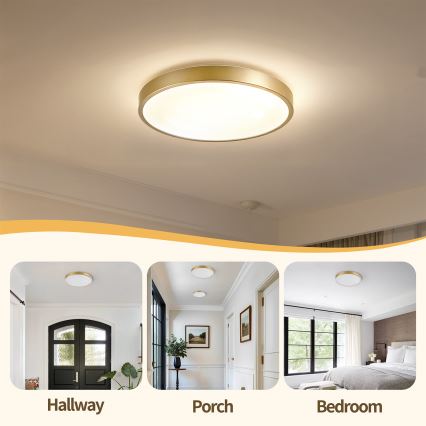 Brilagi - zatemnljivo stropno svetilo GLASS POOL DOUBLE LED/48W/230V 3000-6000K 40 cm v zlati barvi + z daljinskim upravljalnikom