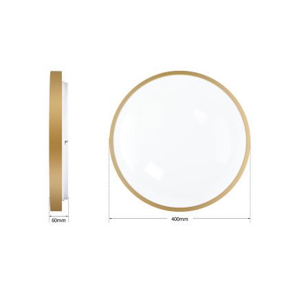 Brilagi - zatemnljivo stropno svetilo GLASS POOL DOUBLE LED/48W/230V 3000-6000K 40 cm v zlati barvi + z daljinskim upravljalnikom