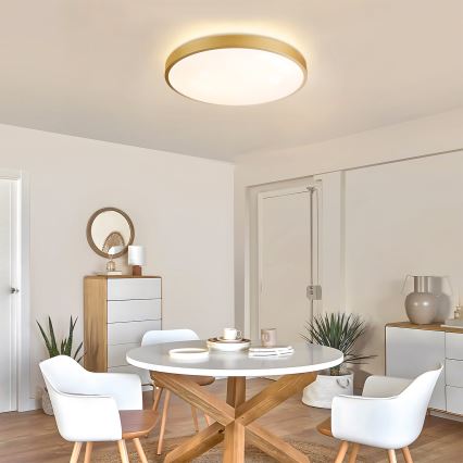 Brilagi - LED zatemnljivo stropno svetilo GLASS POOL DOUBLE LED/60W/230V 3000-6000K 50 cm zlato + daljinski upravljalnik