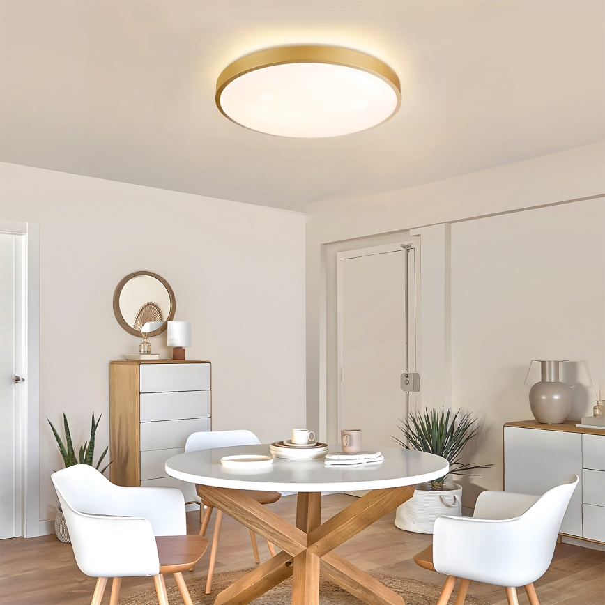 Brilagi - LED zatemnljivo stropno svetilo GLASS POOL DOUBLE LED/60W/230V 3000-6000K 50 cm zlato + daljinski upravljalnik