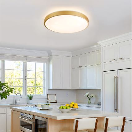 Brilagi - LED zatemnljivo stropno svetilo GLASS POOL DOUBLE LED/60W/230V 3000-6000K 50 cm zlato + daljinski upravljalnik