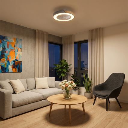 Brilagi - LED stropna svetilka z ventilatorjem in možnostjo zatemnitve LED/38W/230V 3000-6500K premer 50 cm siva/hrast + daljinski upravljalnik