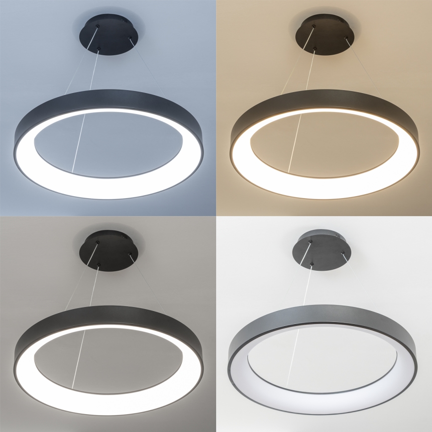 Brilagi - LED lestenec z zatemnitvijo na kablu FALCON II LED/99W/230V 3000-6500K Ø 60 cm črn + daljinski upravljalnik