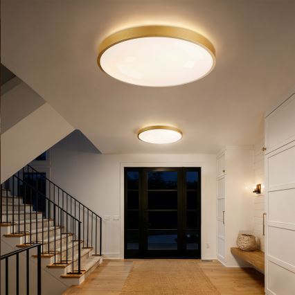 Brilagi - LED zatemnjiva stropna svetilka GLASS POOL DOUBLE LED/80W/230V 3000-6000K 60 cm zlata + z daljinskim upravljalnikom