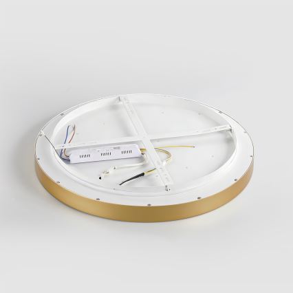 Brilagi - LED zatemnjiva stropna svetilka GLASS POOL DOUBLE LED/80W/230V 3000-6000K 60 cm zlata + z daljinskim upravljalnikom