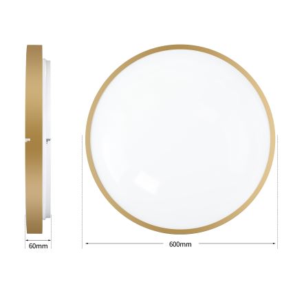 Brilagi - LED zatemnjiva stropna svetilka GLASS POOL DOUBLE LED/80W/230V 3000-6000K 60 cm zlata + z daljinskim upravljalnikom