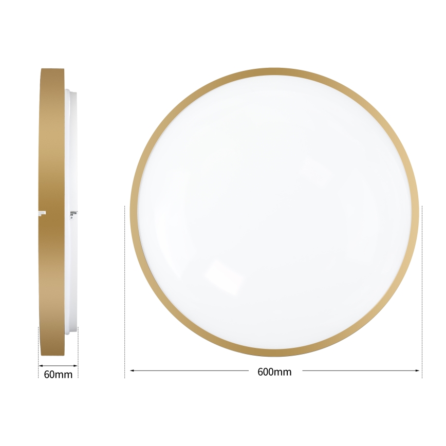 Brilagi - LED zatemnjiva stropna svetilka GLASS POOL DOUBLE LED/80W/230V 3000-6000K 60 cm zlata + z daljinskim upravljalnikom