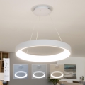 Brilagi - zatemnljiv LED lestenec na kablu FALCON II LED/99W/230V 3000-6500K premer 60 cm bel + daljinski upravljalnik