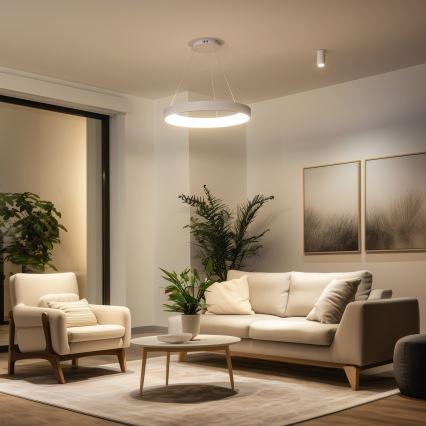 Brilagi - LED zatemnjevalni lestenec na kablu FALCON II LED/99W/230V 3000–6500K, premer 60 cm, bel + daljinski upravljalnik