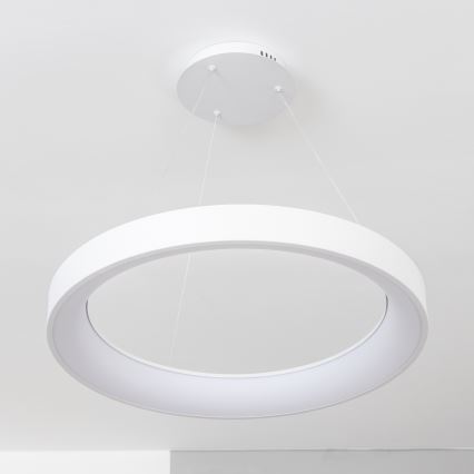 Brilagi - LED zatemnjevalni lestenec na kablu FALCON II LED/99W/230V 3000–6500K, premer 60 cm, bel + daljinski upravljalnik