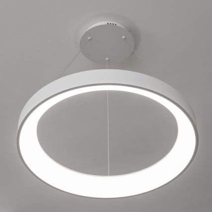 Brilagi - LED zatemnjevalni lestenec na kablu FALCON II LED/99W/230V 3000–6500K, premer 60 cm, bel + daljinski upravljalnik