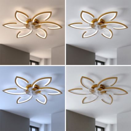 Brilagi - LED zatemljiv stropni ventilator LED/34W/230V premer 78 cm v zlati barvi + daljinski upravljalnik