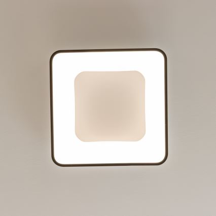 Brilagi - LED zatemnjevalna stropna svetilka FALCON II LED/80W/230V 3000-6500K 40x40 cm črna + daljinski upravljalnik