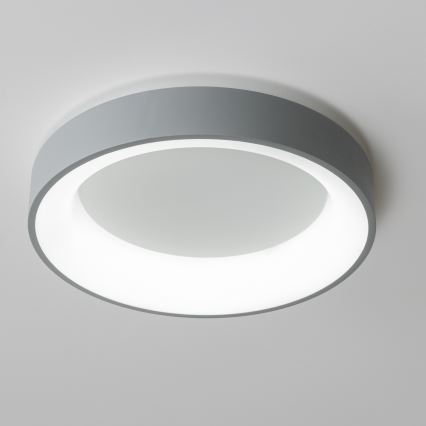 Brilagi - LED zatemnjiva stropna svetilka FALCON LED/80W/230V 3000-6500K premer 60 cm siva + daljinski upravljalnik