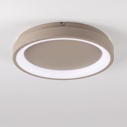 BRILAGI - LED stropna svetilka FALCON SLIM LED/42W/230V 3000-6500K premer 50 cm bež + daljinski upravljalnik (z možnostjo zatemnitve)