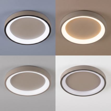 BRILAGI - LED stropna svetilka FALCON SLIM LED/42W/230V 3000-6500K premer 50 cm bež + daljinski upravljalnik (z možnostjo zatemnitve)