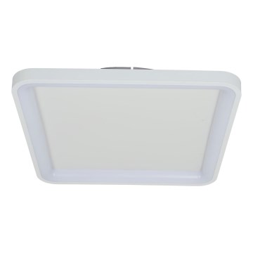 Brilagi - Zatemnljivo LED stropno svetilo FALCON SLIM LED/50W/230V 3000-6500K 50x50 cm belo + daljinski upravljalnik