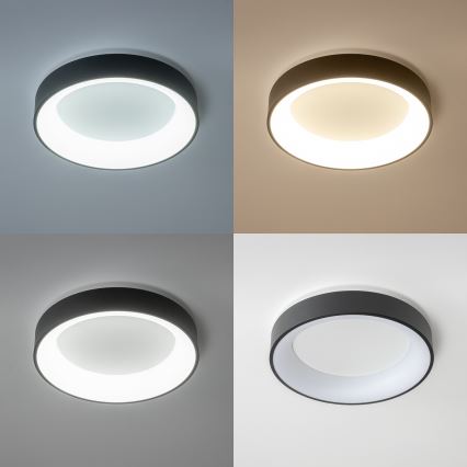 Brilagi - LED zatemnljivo stropno svetilo FALCON LED/40W/230V 3000-6500K premer 45 cm črna + daljinski upravljalnik