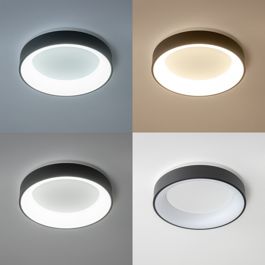 Brilagi - LED zatemnljivo stropno svetilo FALCON LED/40W/230V 3000-6500K premer 45 cm črna + daljinski upravljalnik