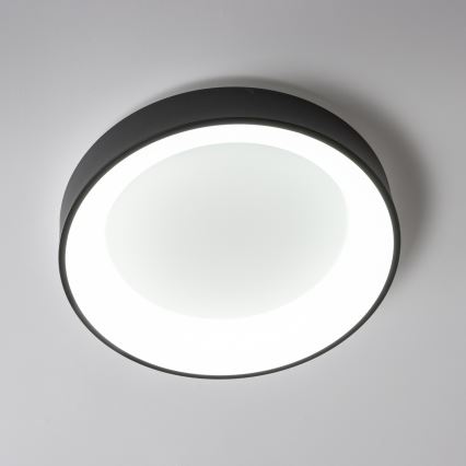 Brilagi - LED zatemnljivo stropno svetilo FALCON LED/40W/230V 3000-6500K premer 45 cm črna + daljinski upravljalnik