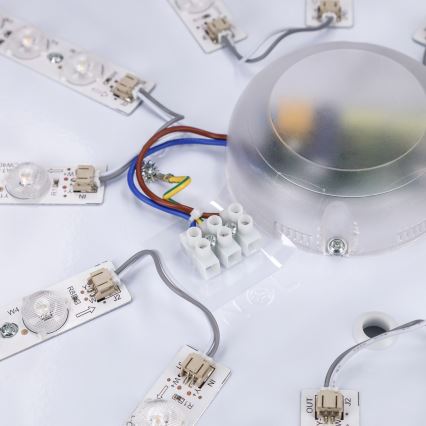 Brilagi - LED Zatemnljivo stropno svetilo PILANA LED/72W/230V 3000-6500K hrast/črna premer 80 cm + daljinski upravljalnik