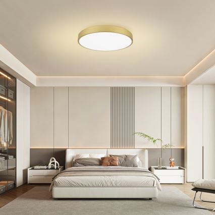 Brilagi - zatemnjevalno LED stropno svetilo POOL SMART LED/100W/230V 3000-6000K 80 cm zlato Wi-Fi Tuya + daljinski upravljalnik