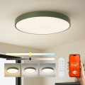 Brilagi - zatemnljivo LED svetilo POOL SMART LED/100W/230V, premer 80 cm, 3000-6000K, Wi-Fi Tuya + z daljinskim upravljalnikom, zelena