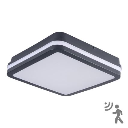 Brilagi - LED zunanja svetilka s senzorjem gibanja BENE LED/24W/230V 26x26 cm antracit IP54