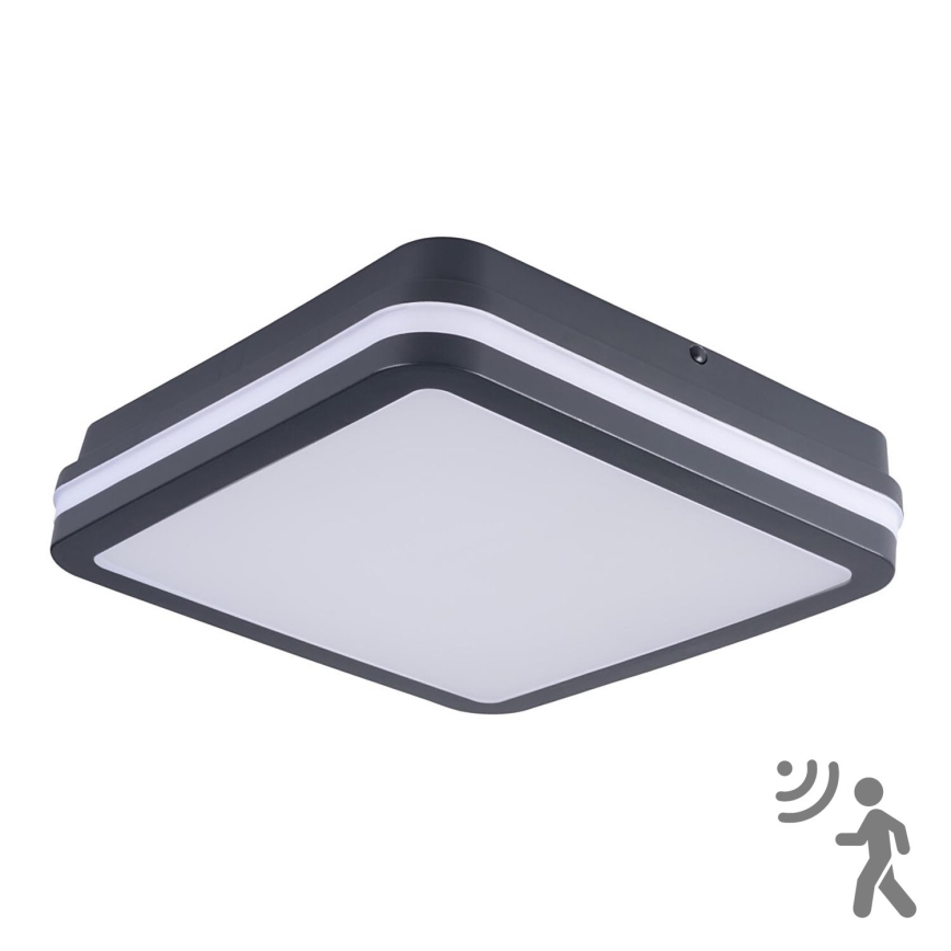 Brilagi - LED zunanja svetilka s senzorjem gibanja BENE LED/24W/230V 26x26 cm antracit IP54