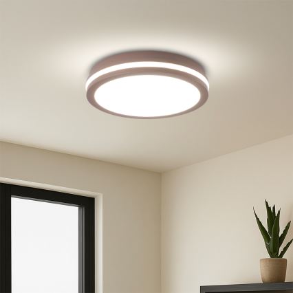 Brilagi - LED zunanja svetilka s senzorjem BENE LED/24W/230V, premer 26 cm, rjava, IP54