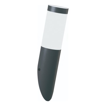 Brilagi - Zunanja stenska svetilka ELIA 1xE27/20W/230V IP44 antracit