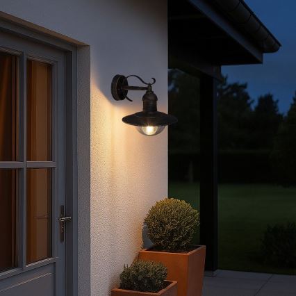 Brilagi - Zunanja stenska svetilka MOLDE 1xE27/60W/230V IP44 bronzna/patina