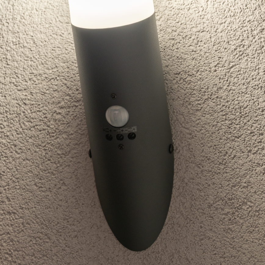 BRILAGI - Zunanja stenska svetilka s senzorjem gibanja ELIA 1xE27/20W/230V IP44 antracit