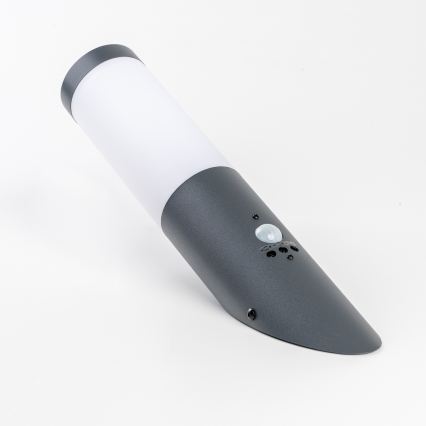 BRILAGI - Zunanja stenska svetilka s senzorjem gibanja ELIA 1xE27/20W/230V IP44 antracit