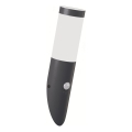 Brilagi - Zunanja stenska svetilka s senzorjem gibanja ELIA 1xE27/20W/230V IP44 antracit