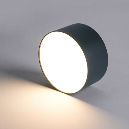 BRILAGI - LED zunanje stropno svetilo FORIS LED/20W/230V, premer 15 cm, antracit, IP44