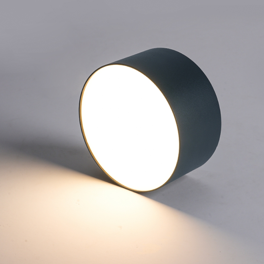 BRILAGI - LED zunanje stropno svetilo FORIS LED/20W/230V, premer 15 cm, antracit, IP44