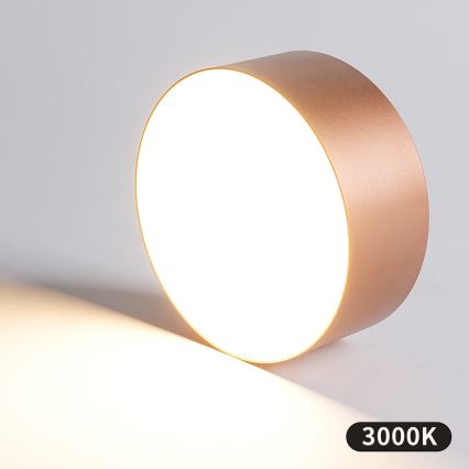 BRILAGI - Zunanja stropna svetilka FORIS LED/20W/230V Ø 15 cm bronasta IP44