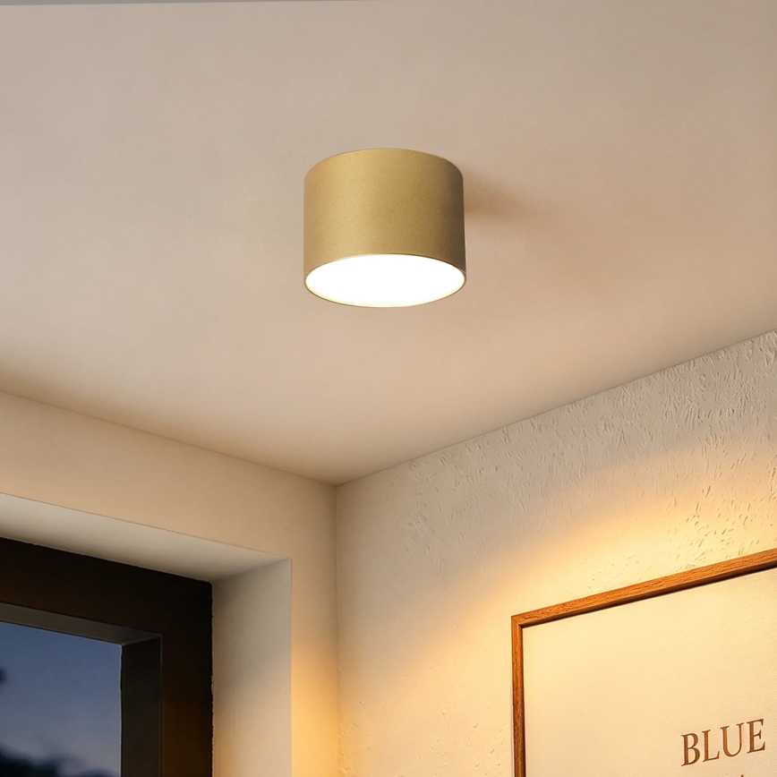BRILAGI - Zunanja stropna svetilka FORIS LED/9W/230V premer 9 cm zlata IP44