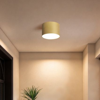 BRILAGI - Zunanja stropna svetilka FORIS LED/9W/230V premer 9 cm zlata IP44
