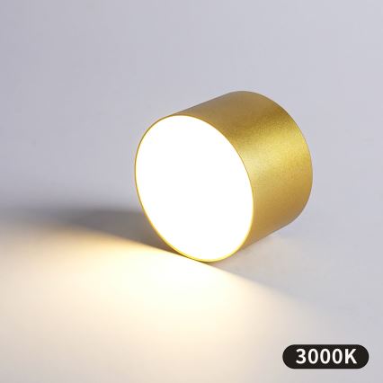 BRILAGI - Zunanja stropna svetilka FORIS LED/9W/230V premer 9 cm zlata IP44