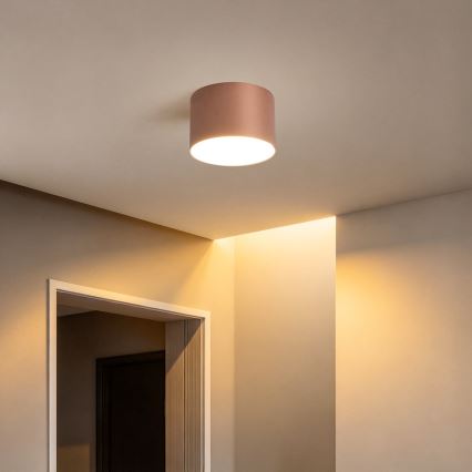 BRILAGI - Zunanja stropna svetilka FORIS LED/9W/230V Ø 9 cm bronzna IP44