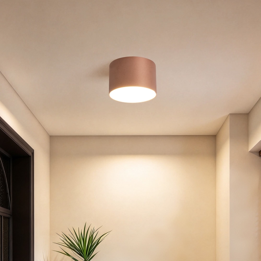 BRILAGI - Zunanja stropna svetilka FORIS LED/9W/230V Ø 9 cm bronzna IP44