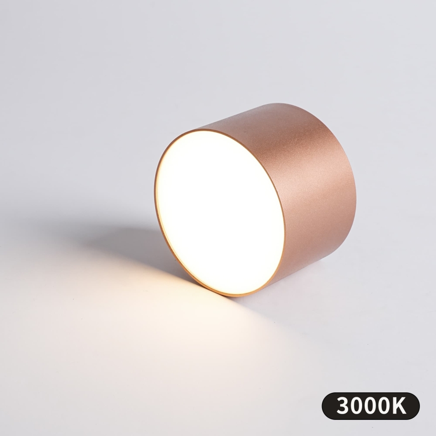 BRILAGI - Zunanja stropna svetilka FORIS LED/9W/230V Ø 9 cm bronzna IP44