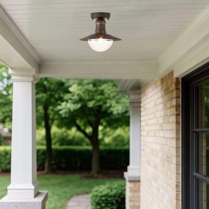 Brilagi - Zunanja stropna svetilka MOLDE 1xE27/60W IP44 bronasta/patina