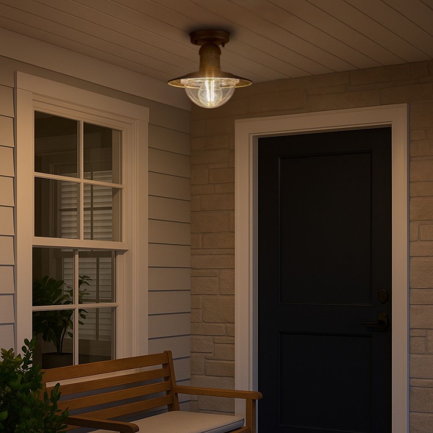 Brilagi - Zunanja stropna svetilka MOLDE 1xE27/60W IP44 bronasta/patina