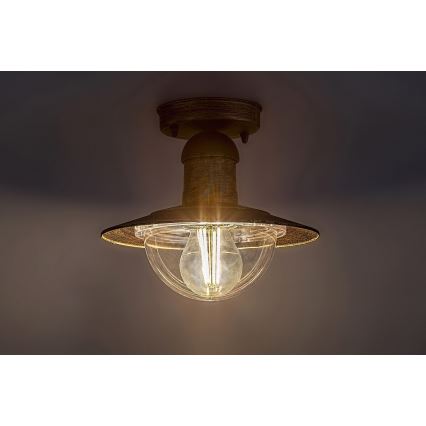 Brilagi - Zunanja stropna svetilka MOLDE 1xE27/60W IP44 bronasta/patina